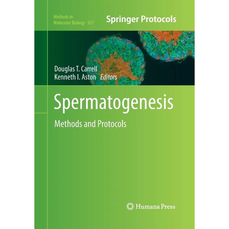 Spermatogenesis