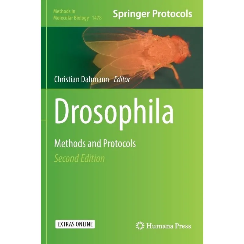 Drosophila