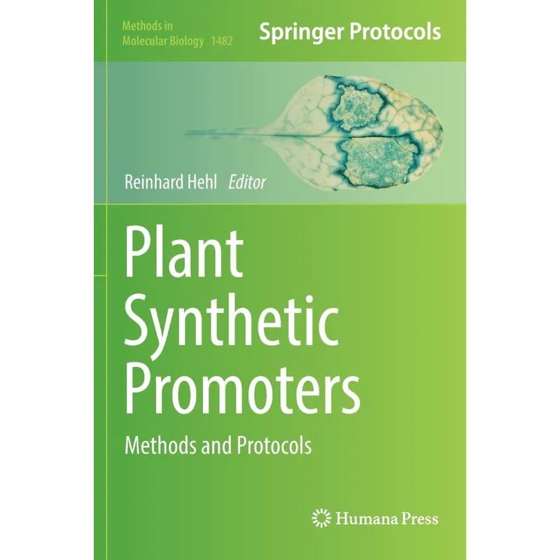 Plant Synthetic Promoters