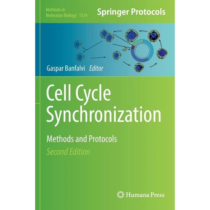 Cell Cycle Synchronization