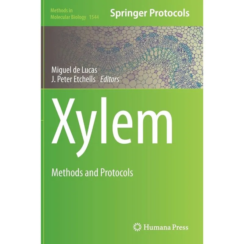 Xylem