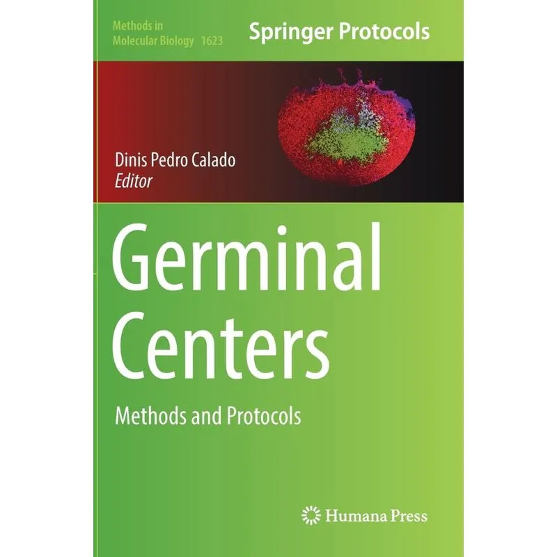 Germinal Centers