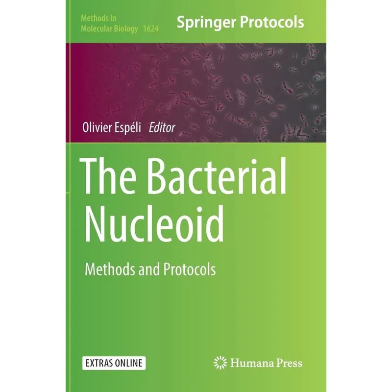 The Bacterial Nucleoid