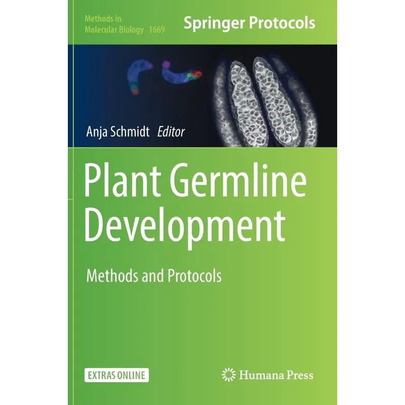 Plant Germline Development