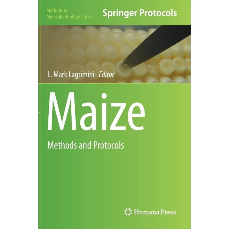 Maize