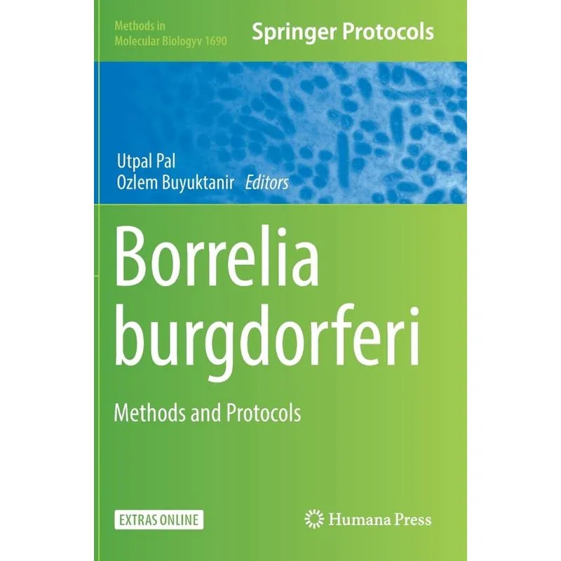 Borrelia burgdorferi
