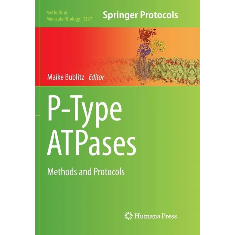 P-Type ATPases