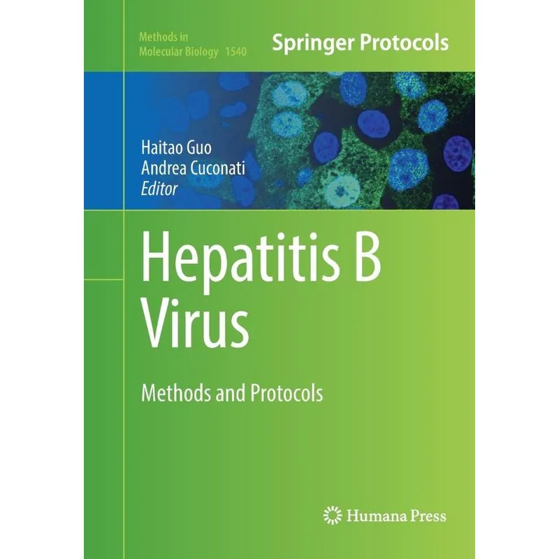 Hepatitis B Virus