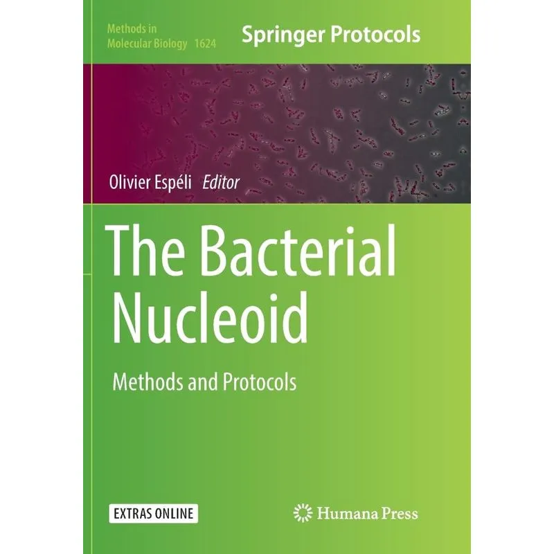 The Bacterial Nucleoid