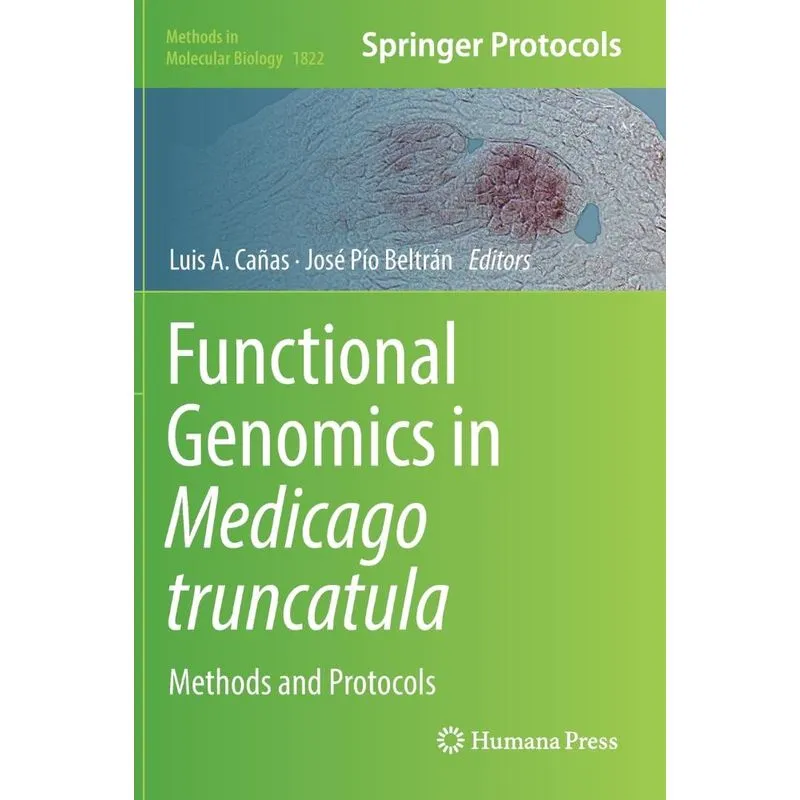 Functional Genomics in Medicago truncatula