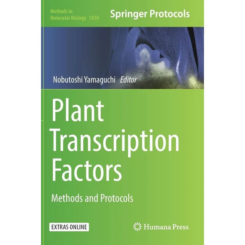 Plant Transcription Factors