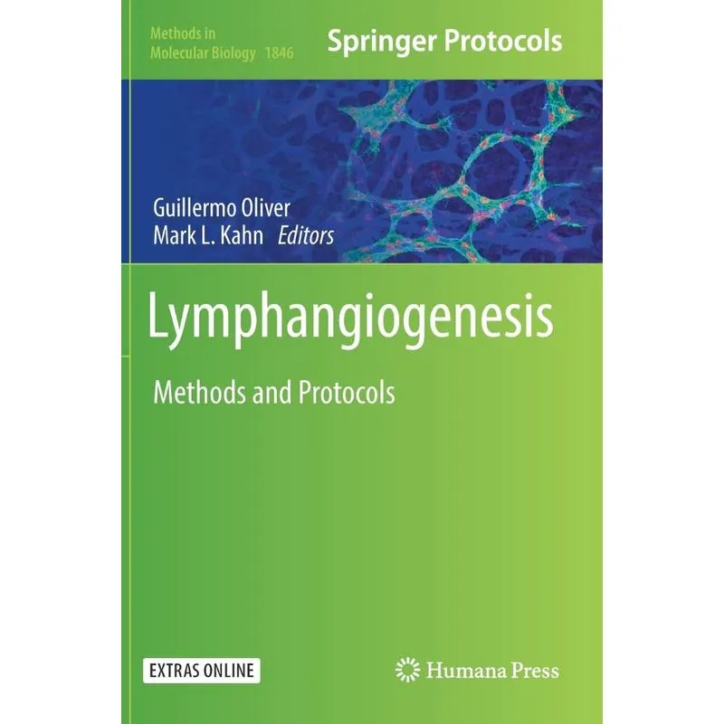 Lymphangiogenesis