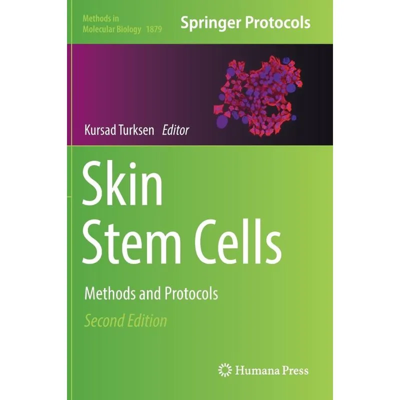 Skin Stem Cells