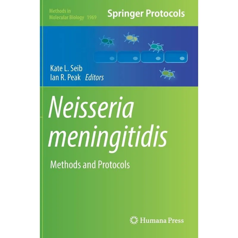Neisseria Meningitidis