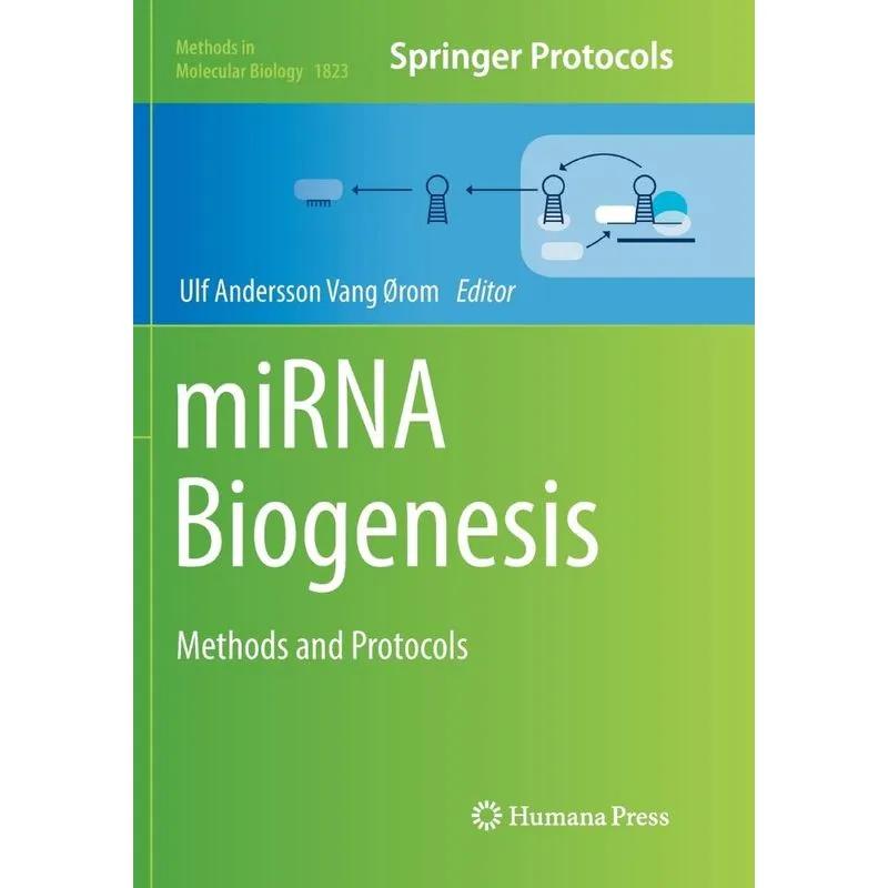 miRNA Biogenesis