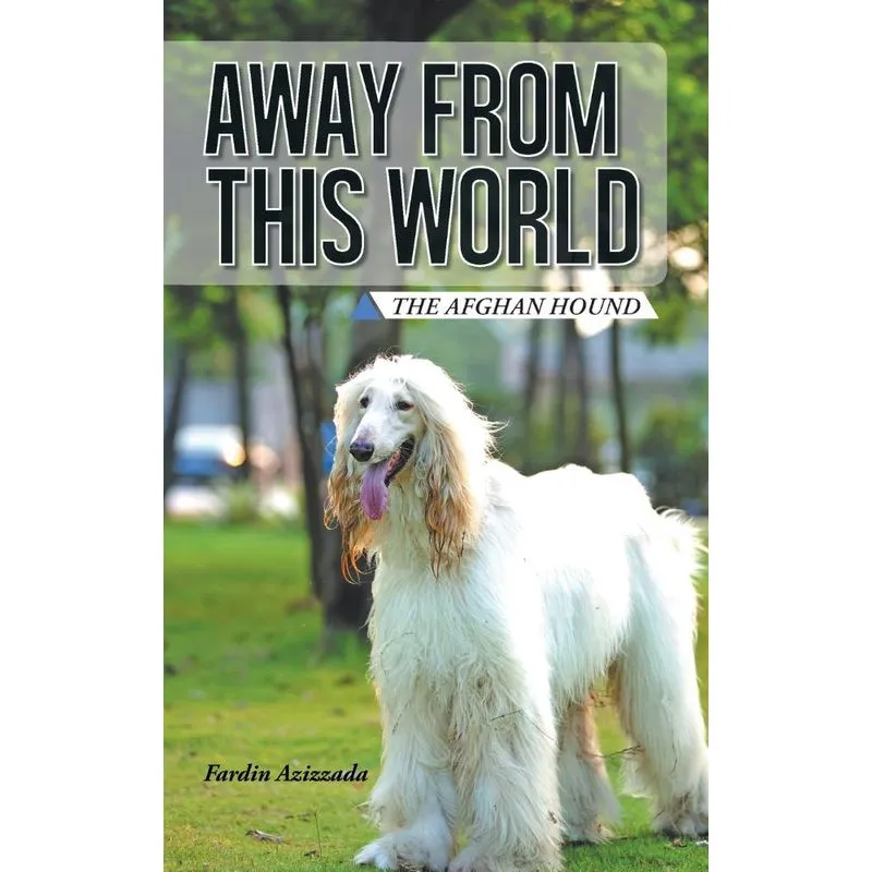 Away from This World
