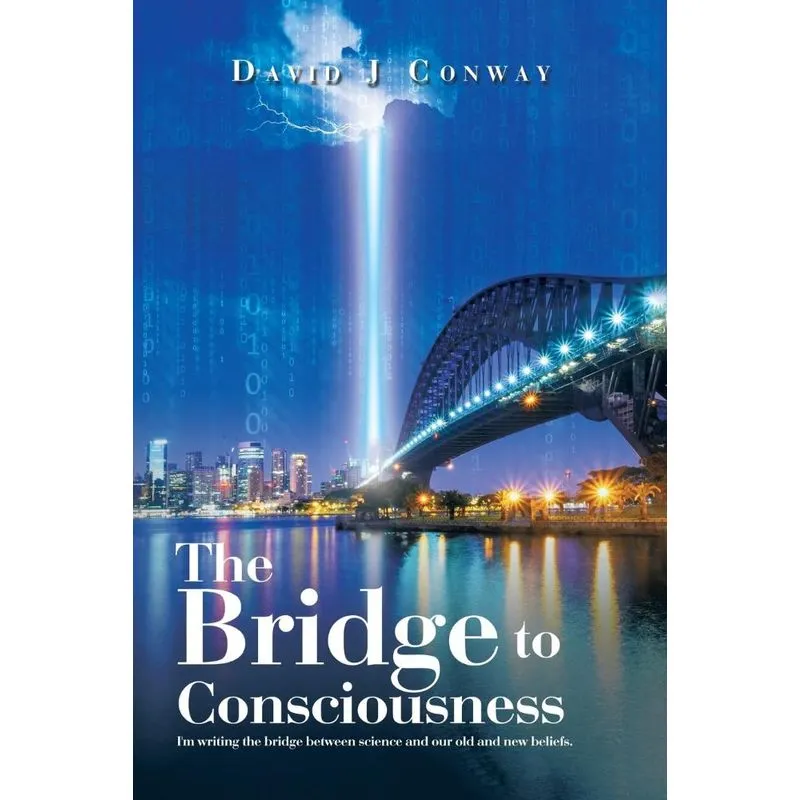 The Bridge To Consciousness