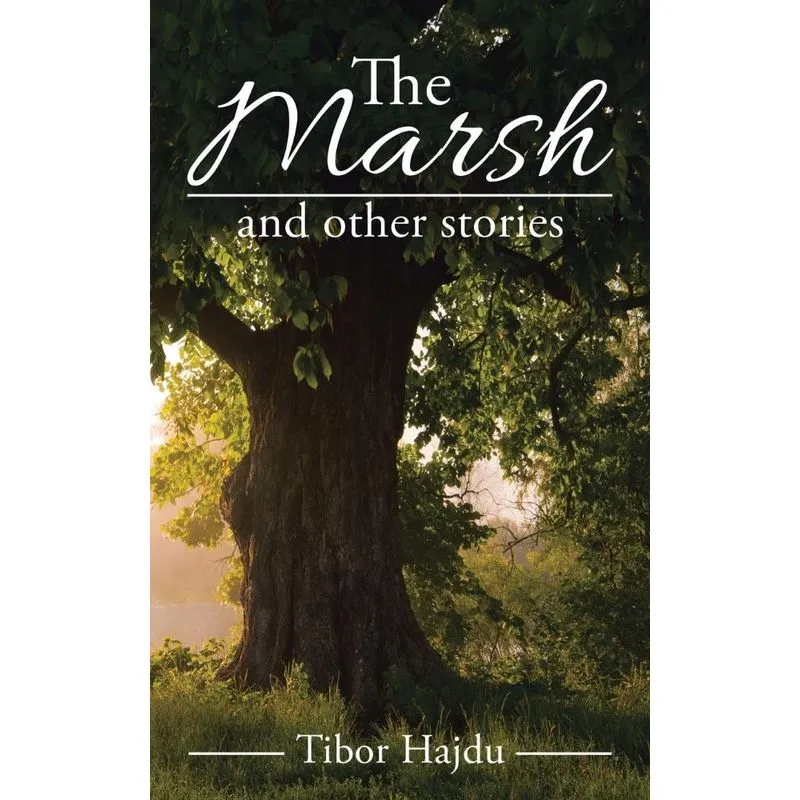 The Marsh