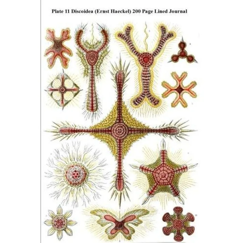 Discoidea Lined Journal