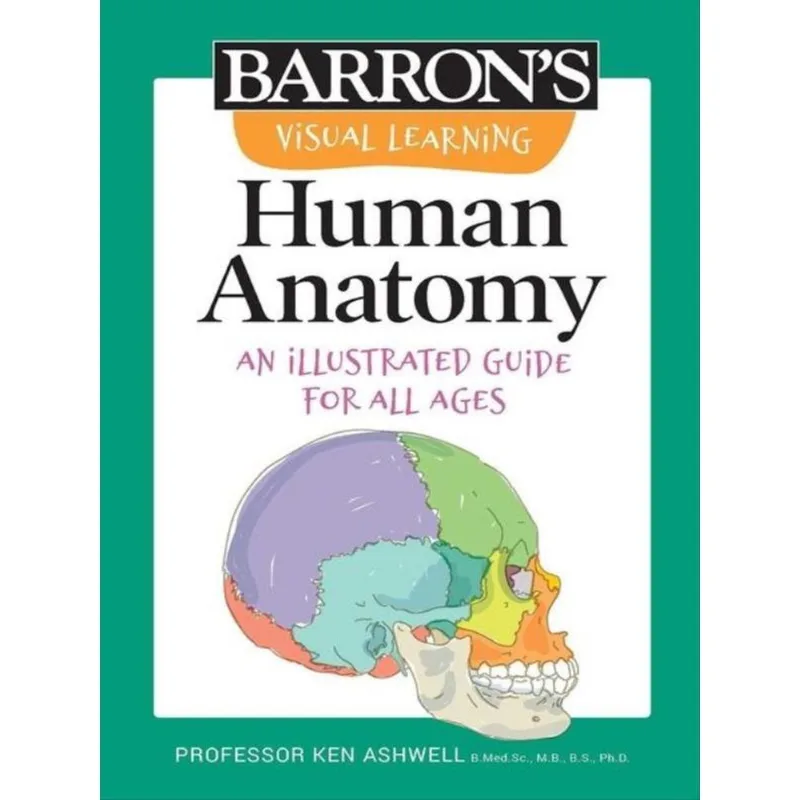 VISUAL LEARNING - HUMAN ANATOMY