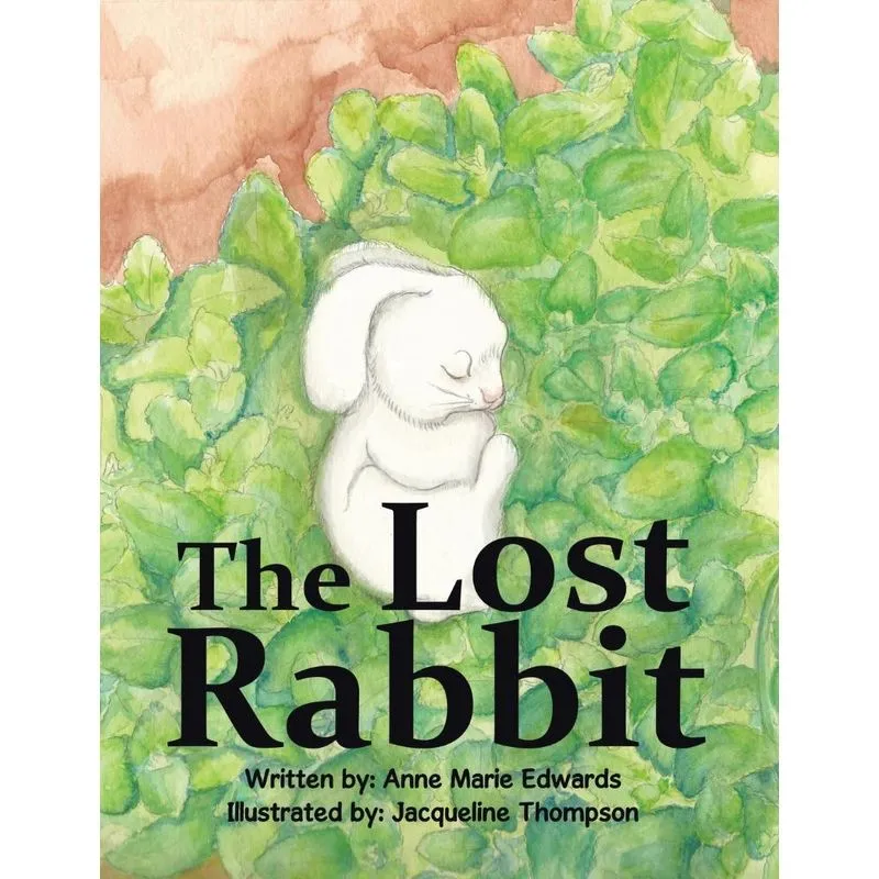 The Lost Rabbit