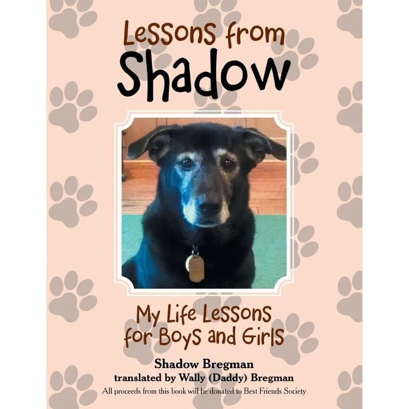 Lessons from Shadow