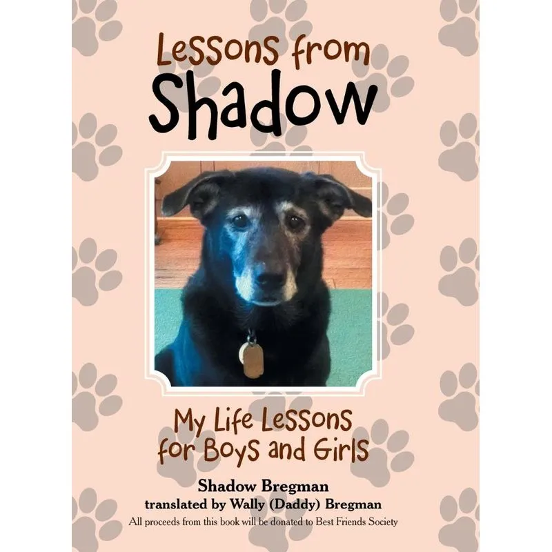 Lessons from Shadow