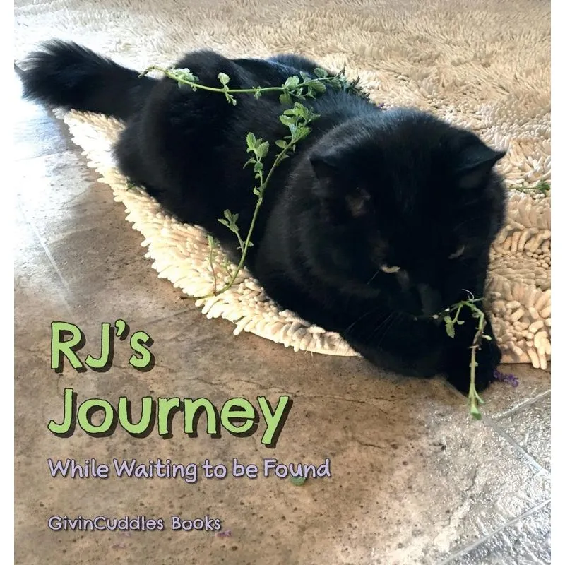 RJs Journey