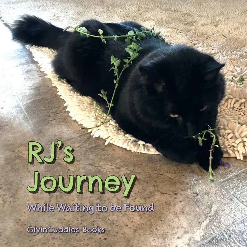 RJs Journey