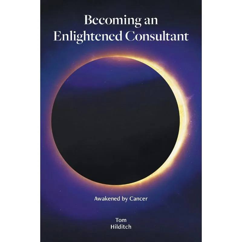 Becoming An Enlightened Consultant