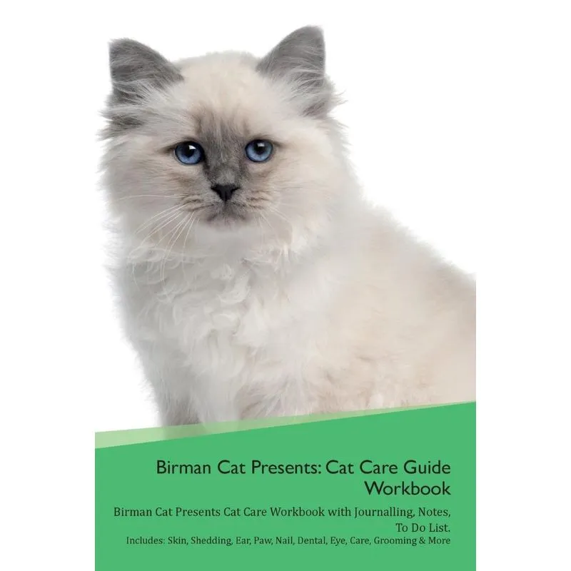Birman Cat Presents