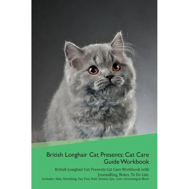 British Longhair Cat Presents