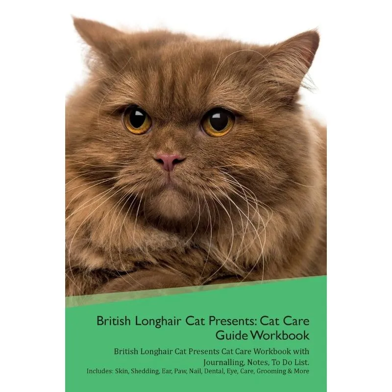 British Longhair Cat Presents
