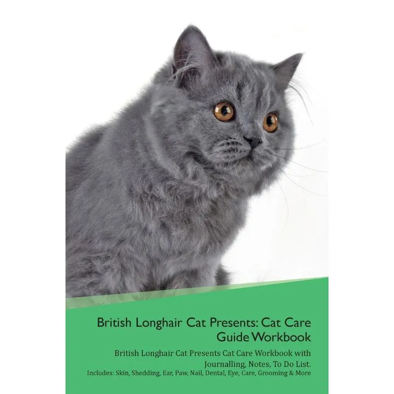British Longhair Cat Presents
