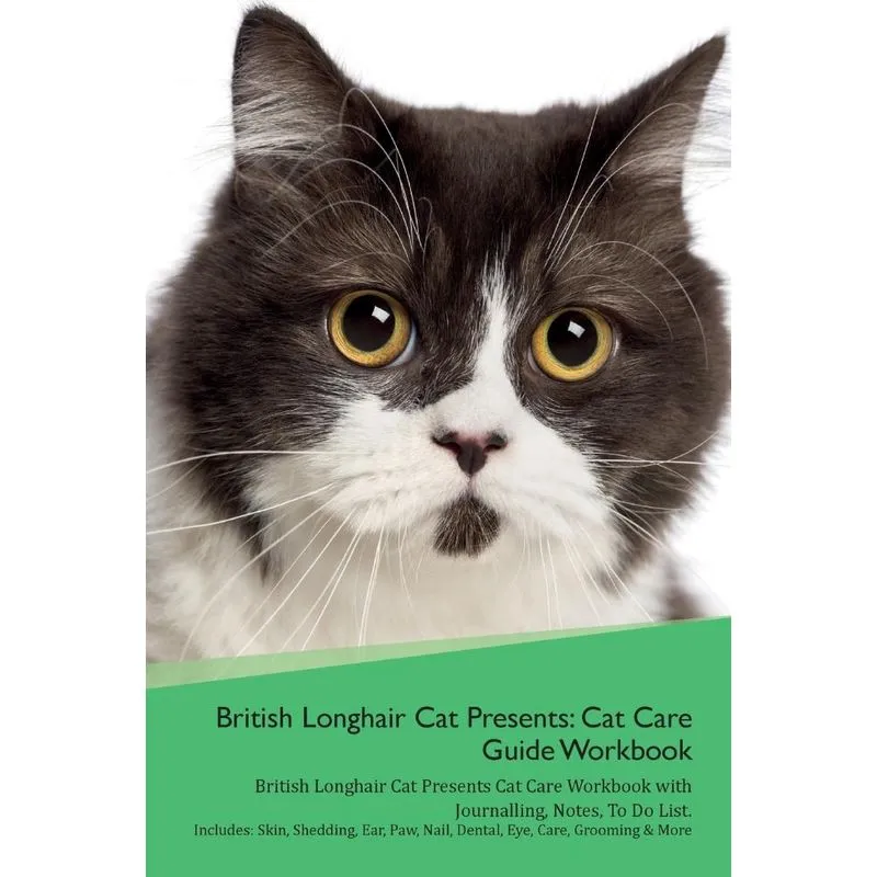 British Longhair Cat Presents