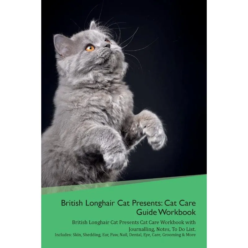 British Longhair Cat Presents