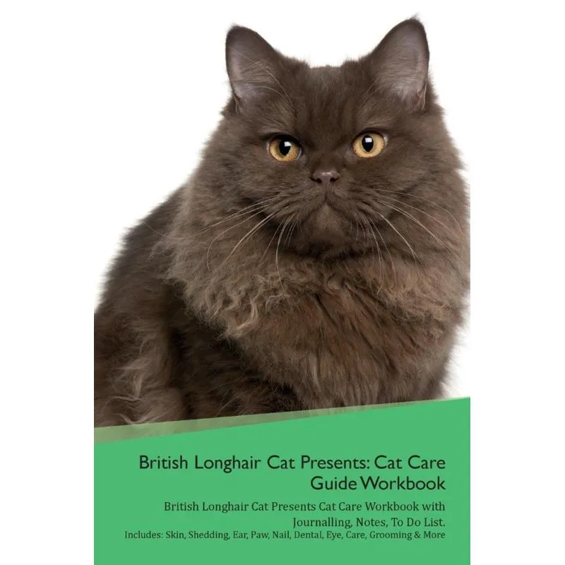 British Longhair Cat Presents