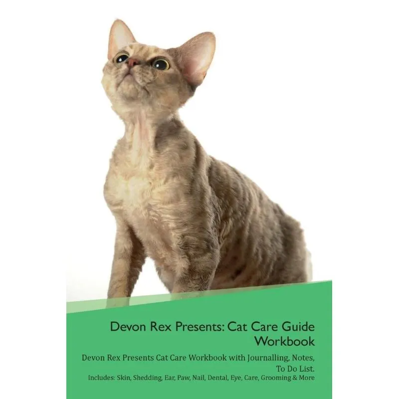 Devon Rex Presents