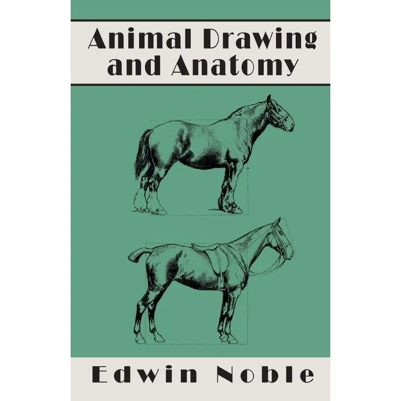 Animal Drawing and Anatomy