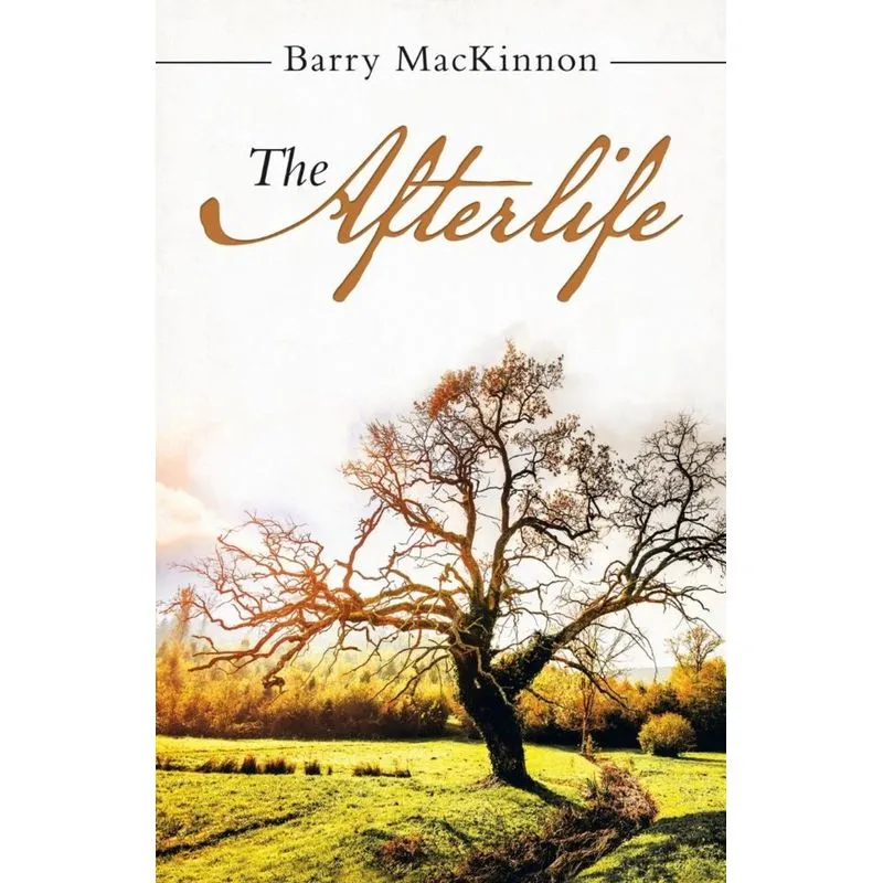 The Afterlife