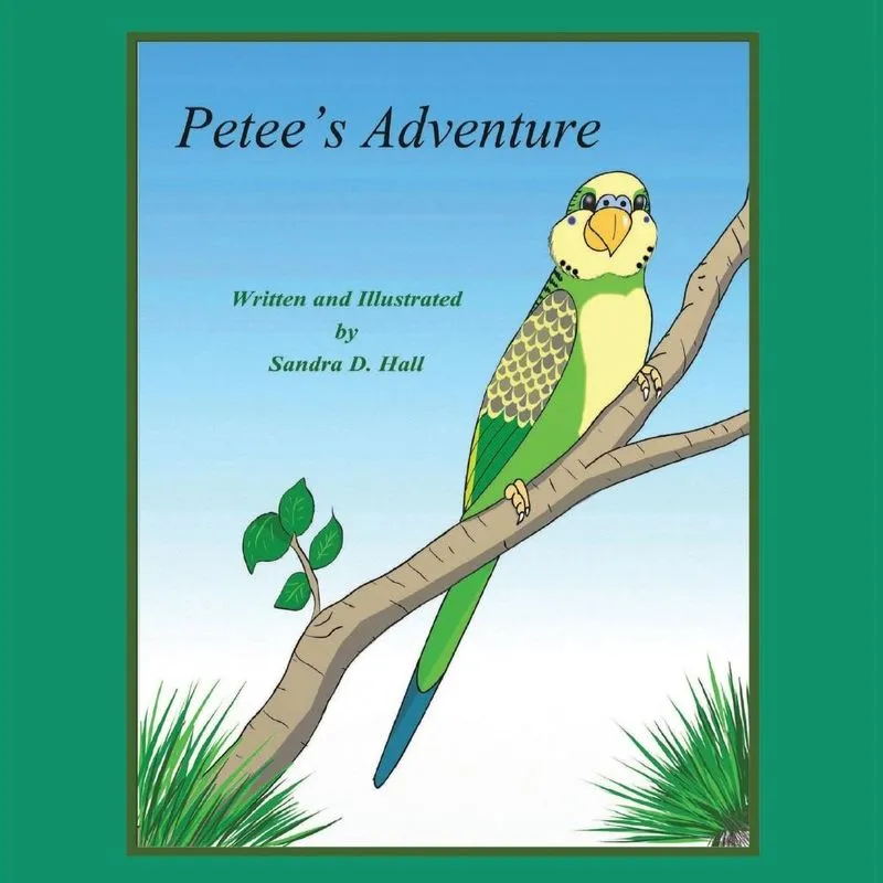 Petees Adventure
