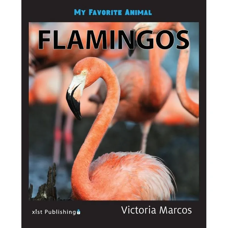 My Favorite Animal