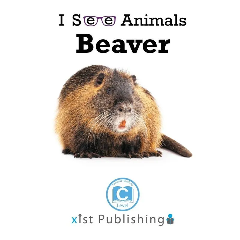 Beaver