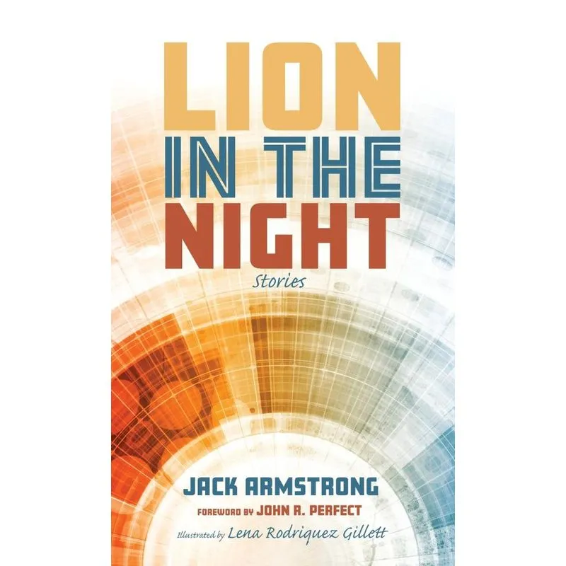 Lion in the Night