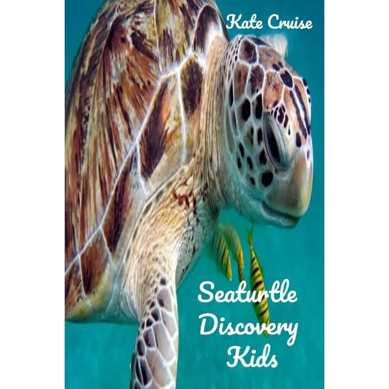Seaturtle Discovery Kids
