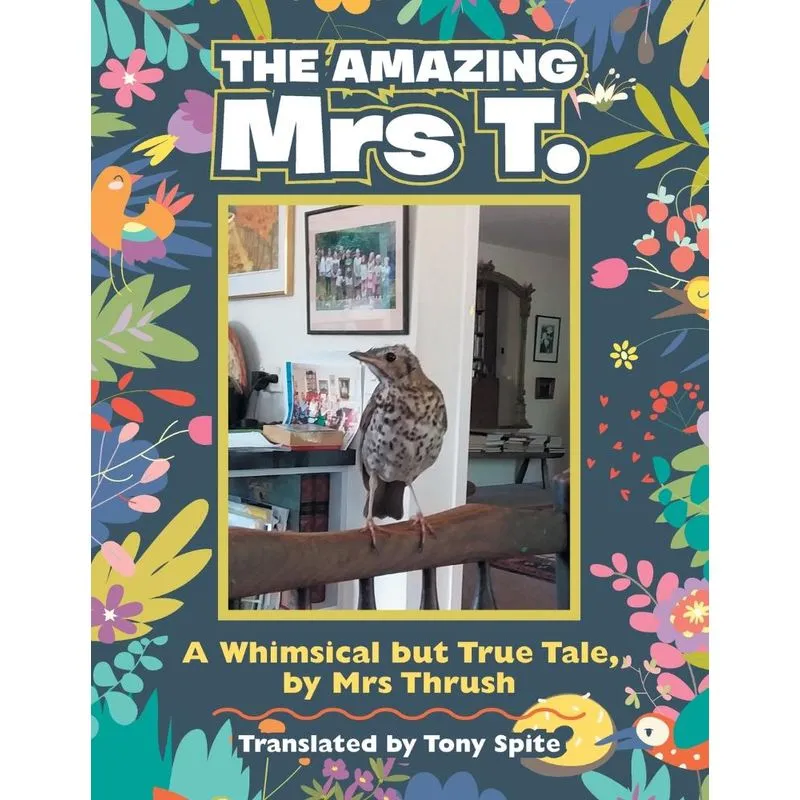 The Amazing Mrs T.