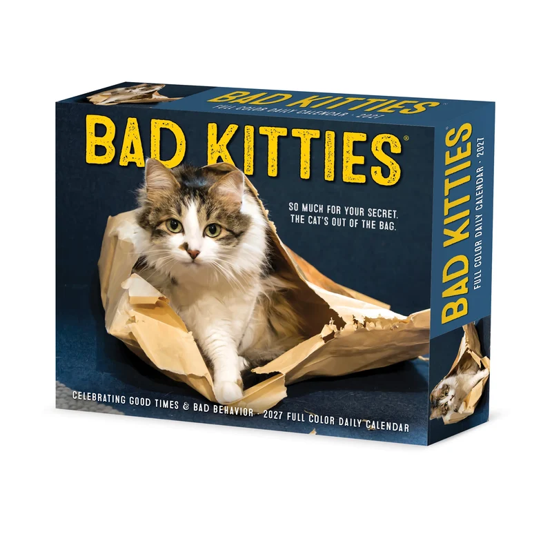 Bad Kitties 2027 Box Calendar