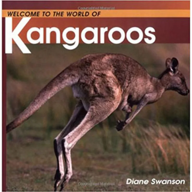 WELCOME TO THE WORLD OF KANGAROOS