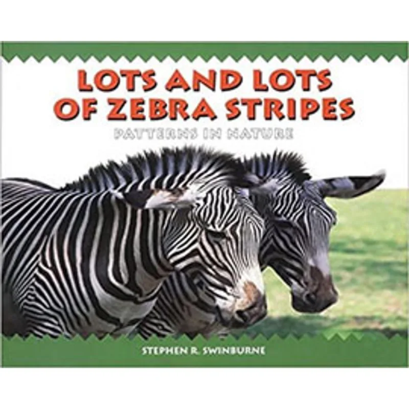 LOTS AND LOTS OF ZEBRA STRIPES - PATTERNS IN NATURE