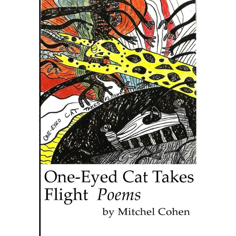 One-Eyed Cat Takes Flight